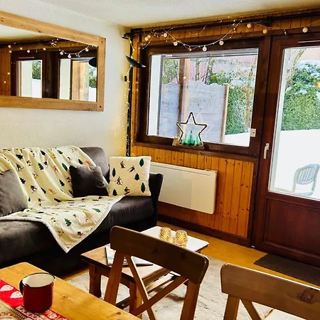 Cozy With Garden Parking And Mont-blanc View Chamonix
