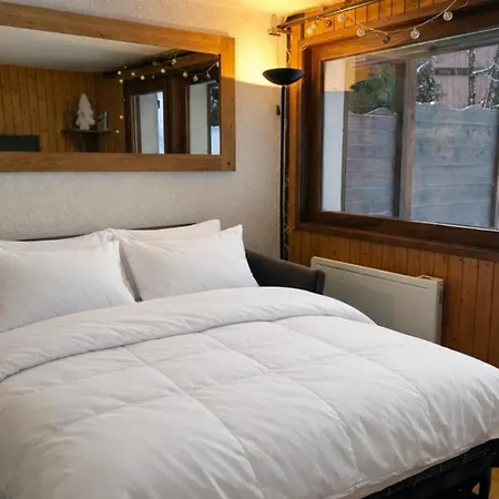 Appartement Cozy With Garden Parking And Mont-blanc View *
