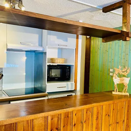 Appartement Cozy With Garden Parking And Mont-blanc View *