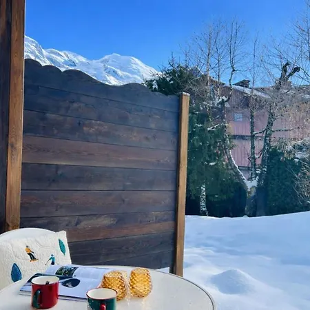 Cozy With Garden Parking And Mont-blanc View Appartement *