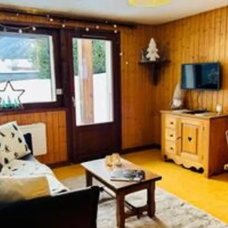 Cozy With Garden Parking And Mont-blanc View Chamonix