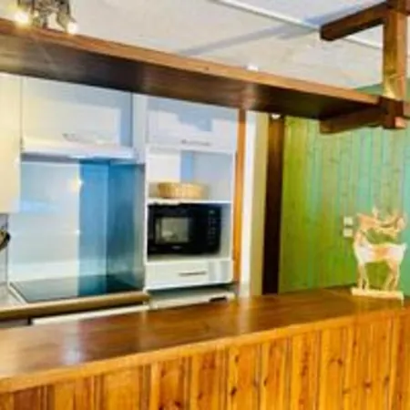 Cozy With Garden Parking And Mont-blanc View * Chamonix