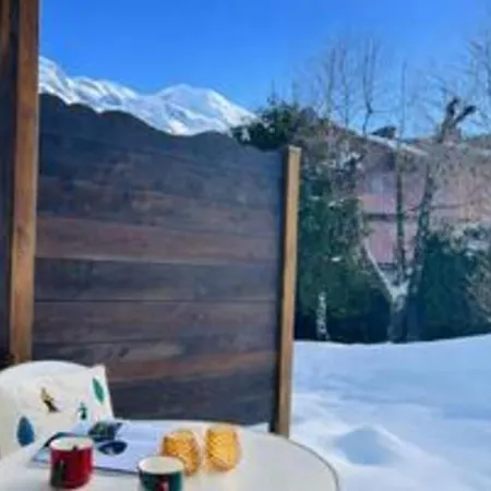 Cozy With Garden Parking And Mont-blanc View Appartement Chamonix
