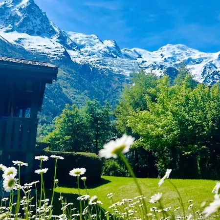 Appartement Cozy With Garden Parking And Mont-blanc View Chamonix